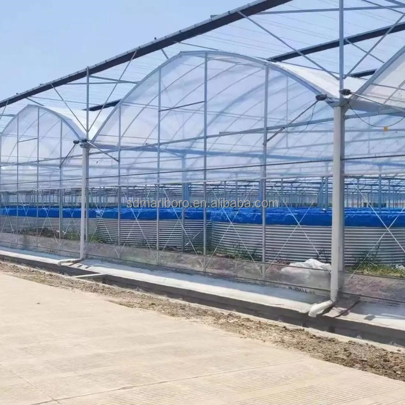AIROW SDM Büyük Plastik Balık  - Farm Pond Liner incelemesi ve fiyatı
