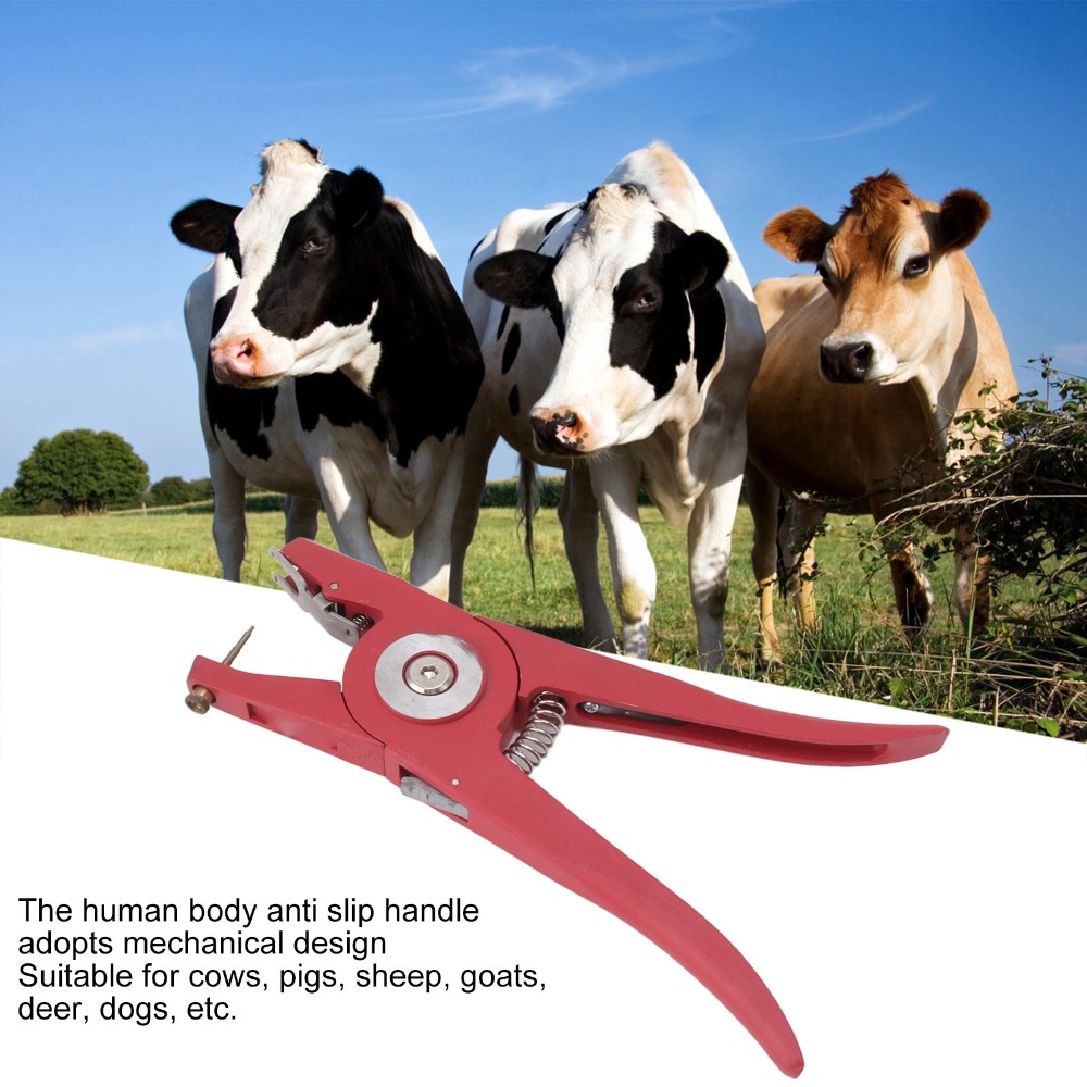 Alaşımlı Hayvan Kulak Küpesi P - Livestock Ear Tag incelemesi ve fiyatı