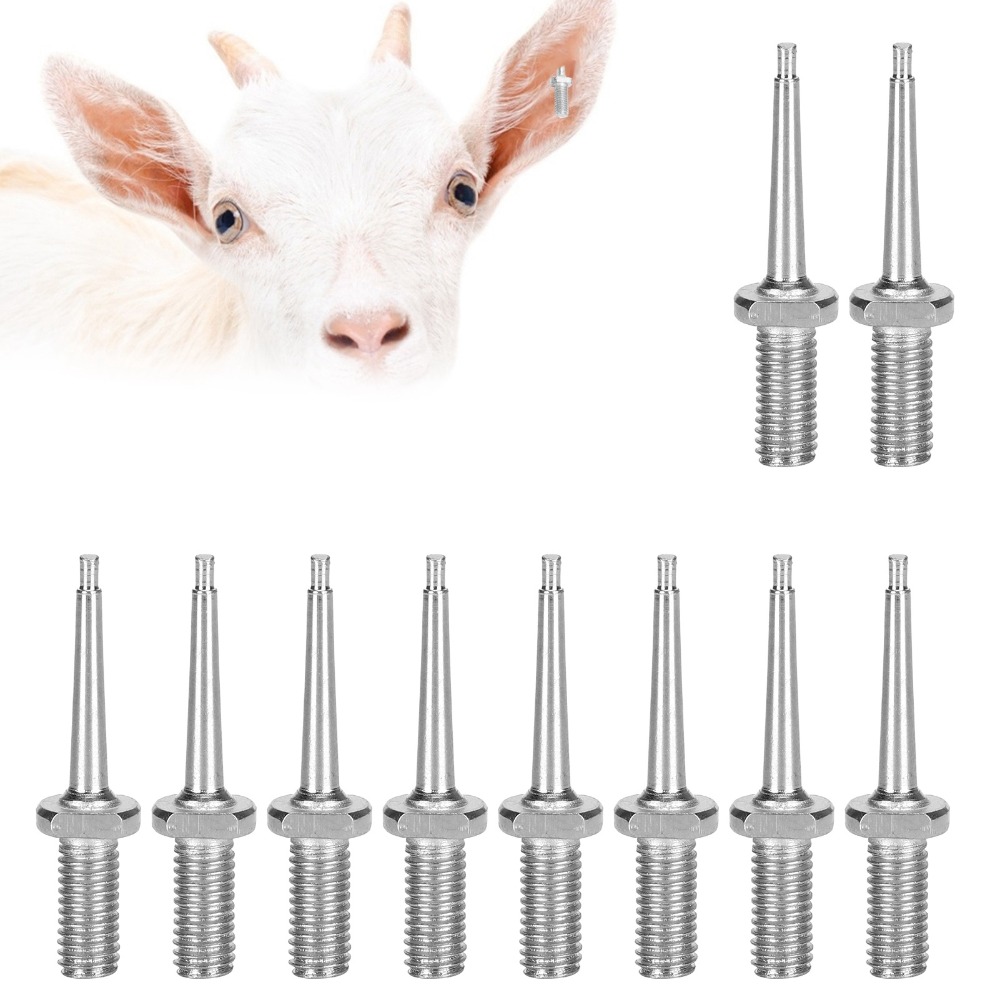 10 adet pratik paslanmaz çelik - Livestock Ear Tag incelemesi ve fiyatı