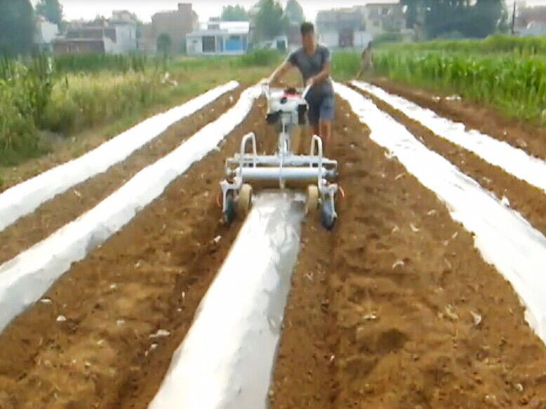 Mini Güçlü 5HP Yüksek Verimli  - Seed Planter incelemesi ve fiyatı