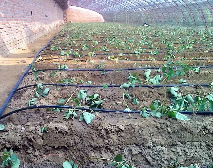 1HA Sulama Kiti Tarım Aracı 20 - Agriculture Farming Hand Tools incelemesi ve fiyatı